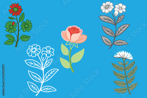 Botanical Sketch Flowers Illustration Set color