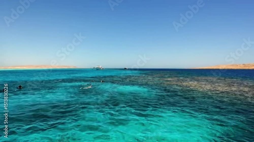 Lonely Tree in Clear Shallow Water