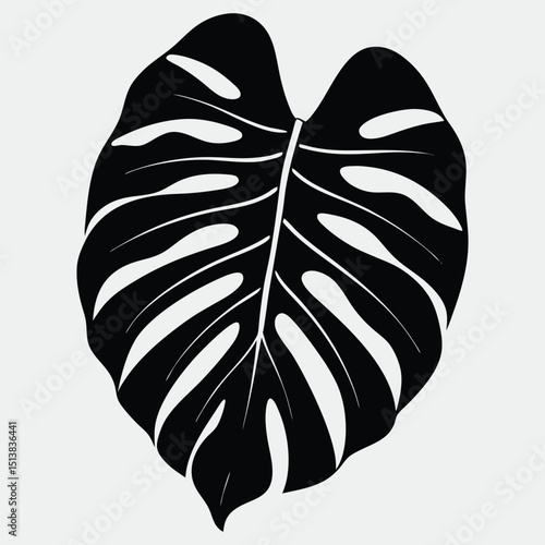 silhouette of a leave on the white background.