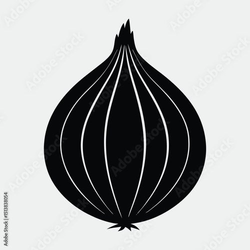  onion vector illustration