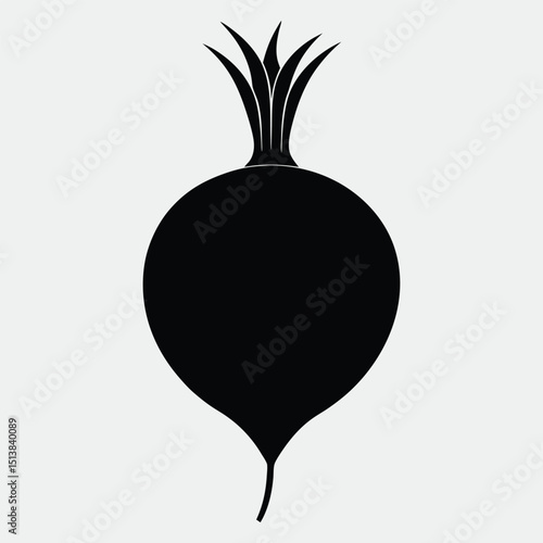 vector illustration of a radish