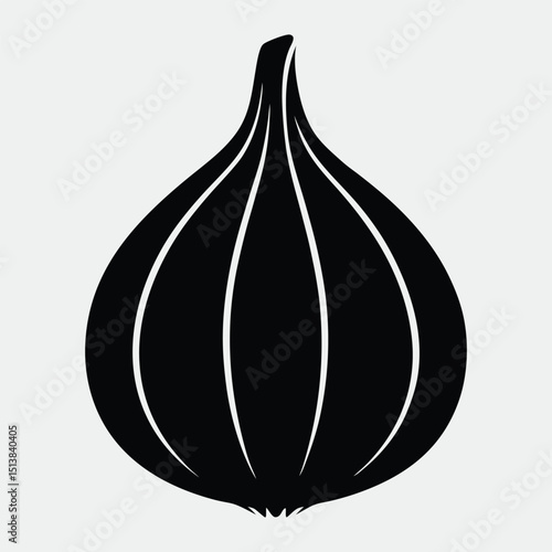 vector illustration of an onion