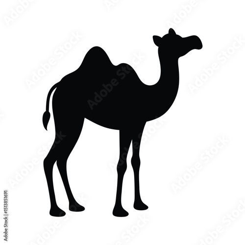 camel on white background