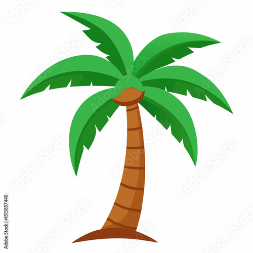palm tree vector