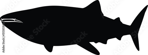 Powerful shark silhouette for predator, ocean, fishing, and sports-themed design uses.

