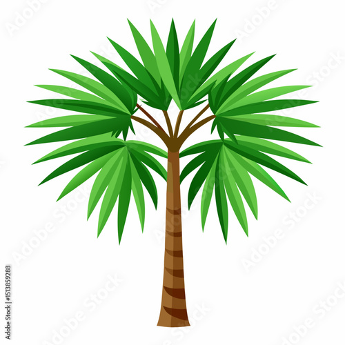 palm tree isolated on white