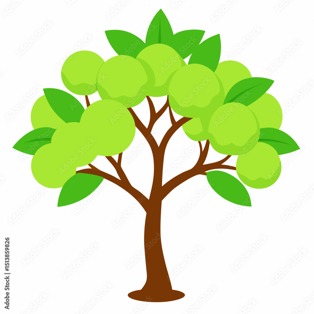 Obraz premium green tree isolated on white