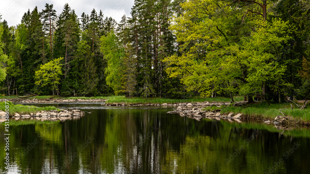 Obraz premium Salmon river landscape in a beautiful summer day. Swedish river and natural area in summer