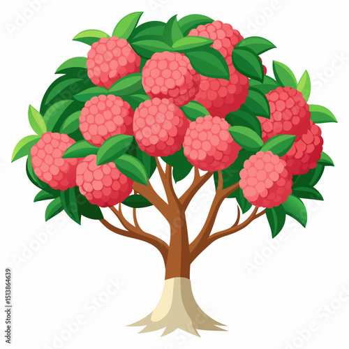 vector illustration of a raspberry