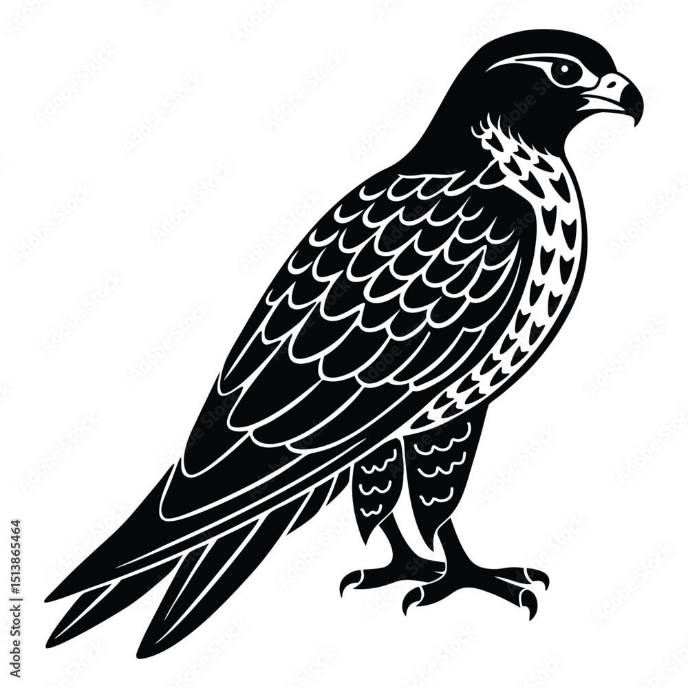 Fototapeta premium Falcon silhouettes and icons. Black flat color, simple, elegant white background, Falcon animal vector and illustration.