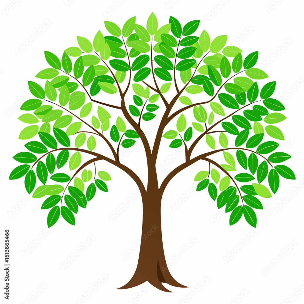 Obraz premium green tree vector illustration