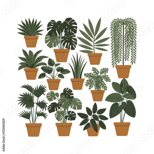 Flat Vector Set of Indoor Leafy Potted Houseplants Collection