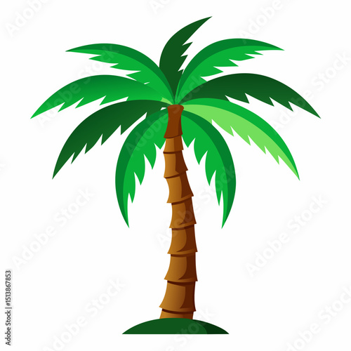 palm tree vector illustration