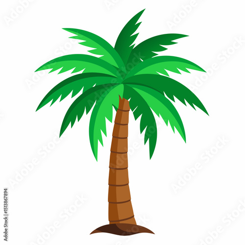 palm tree vector illustration