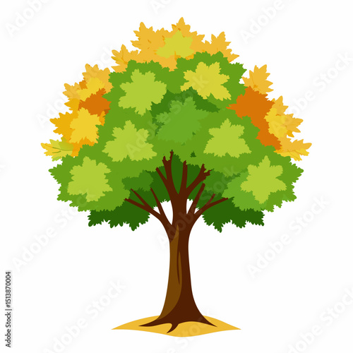 autumn tree vector illustration