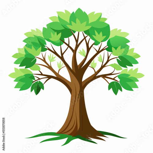 green tree isolated on white background
