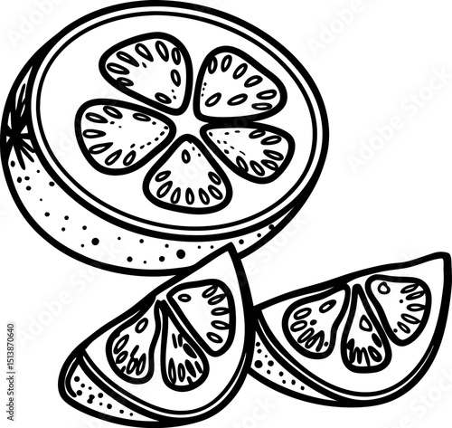 Sliced citrus fruit with detailed segments hand drawn black and white illustration of whole and pieces