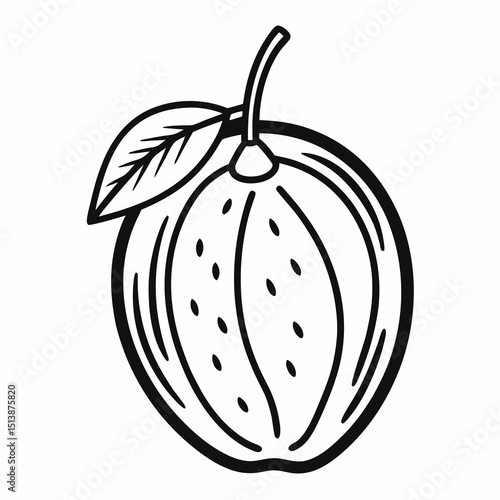 vector illustration of a tomato