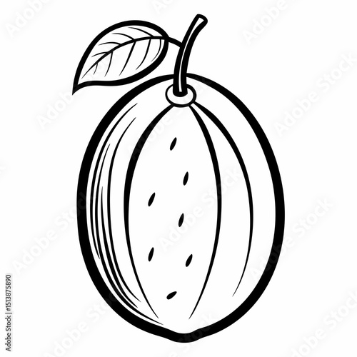 vector illustration of an apple with a leaf