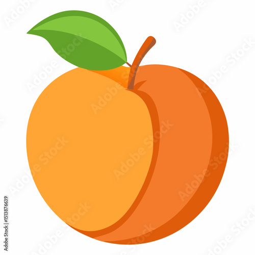 orange fruit vector illustration
