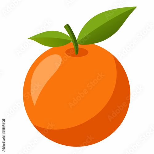 vector illustration of orange fruit