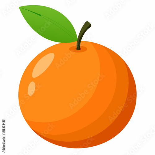 vector illustration of orange fruit