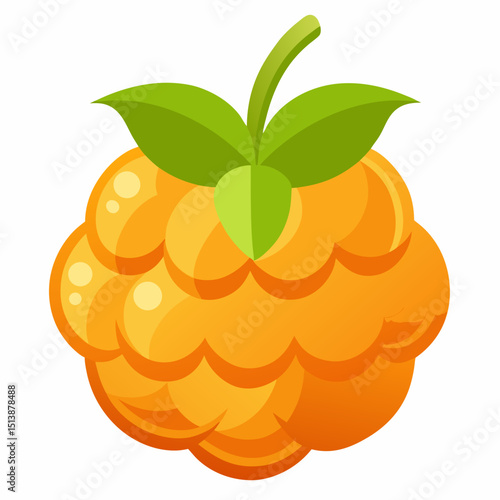 vector illustration of an orange fruit