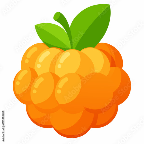vector illustration of ripe apricots