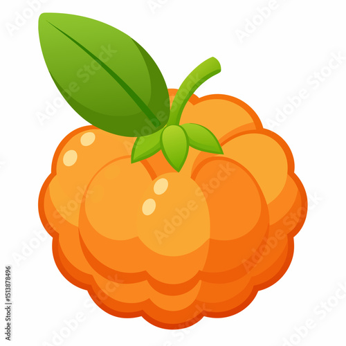 vector illustration of an orange fruit