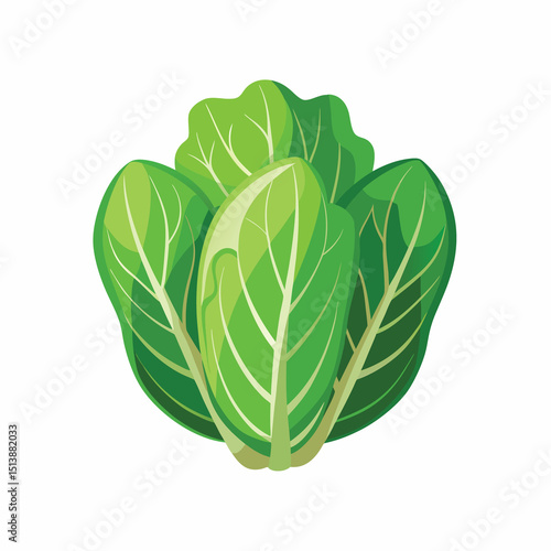Fresh. vibrant illustration of a cabbage. perfect for recipes. food blogs. and healthy living content.