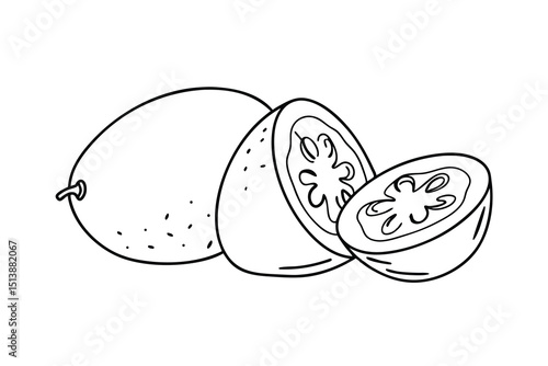 Guava Fruit Illustration, Tropical Food Sketch And Cutaway
