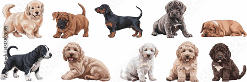 Vector icon sheet of puppies of various breeds and colors – Great for pet care content, dog breed education, or animal lover graphics