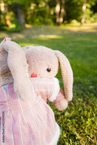 Toy beige hare close -up in the park