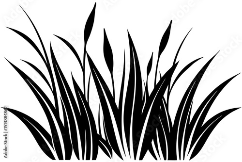 Silhouette of lush grass and reeds vector design with transparent background