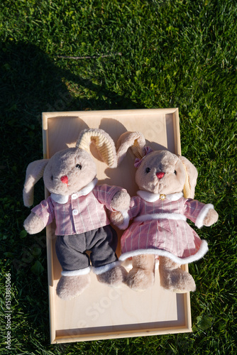 Two toys Rabbits Boy and Girl lie on the table on the grass