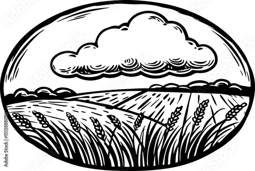 Wheat field landscape under cloudy sky, agricultural farmland illustration with ripe grain crops, rural scenery