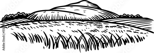 Rolling grassy hill landscape illustration hand drawn rural field, countryside nature scene, vintage sketch