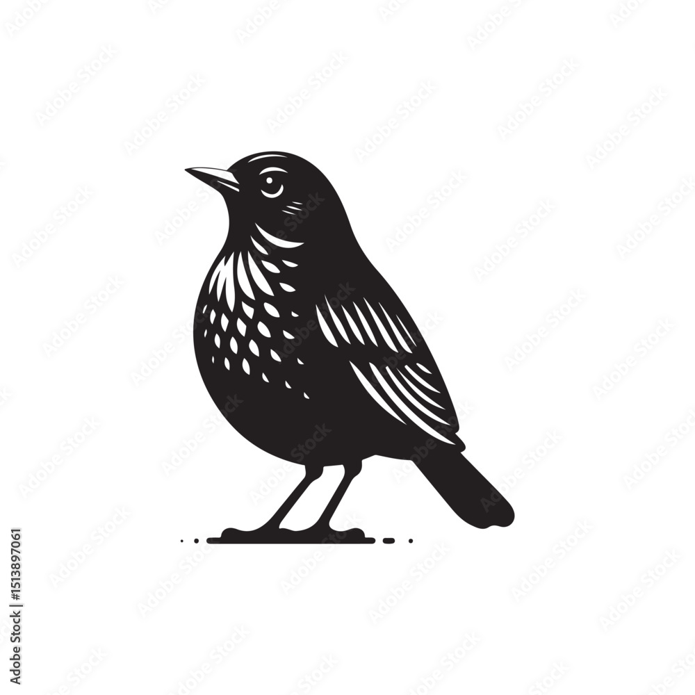 Obraz premium American Robin Vector (1).eps