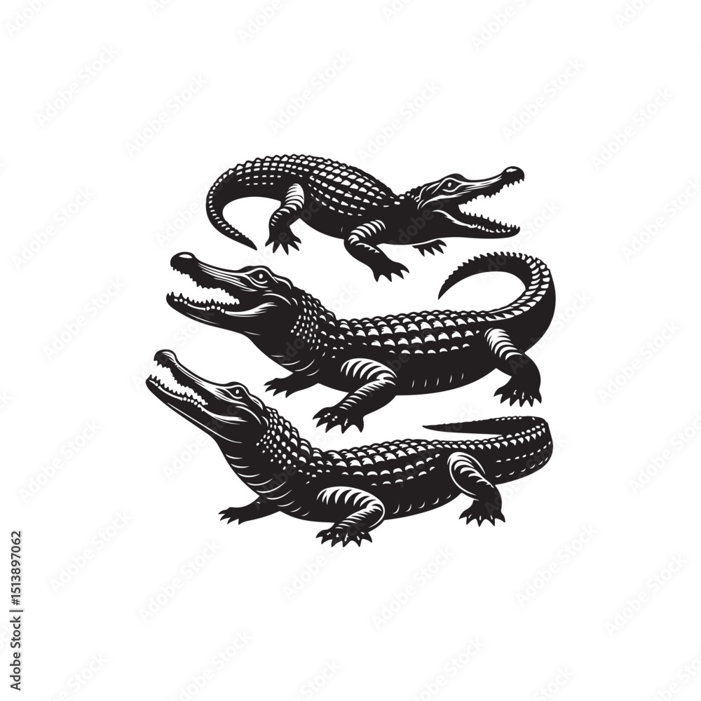Fototapeta premium Alligator Vector (2).eps