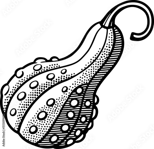 Decorative gourd illustration hand drawn autumn harvest vegetable with bumpy textured surface and curling stem