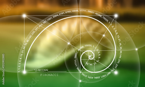 Fibonacci number sequence. Nautilus Seashell section. Snail spiral. Golden ratio. Geometric shapes spiral. Sacred geometry template. Logarithmic sequences. Vector Blurred natural background