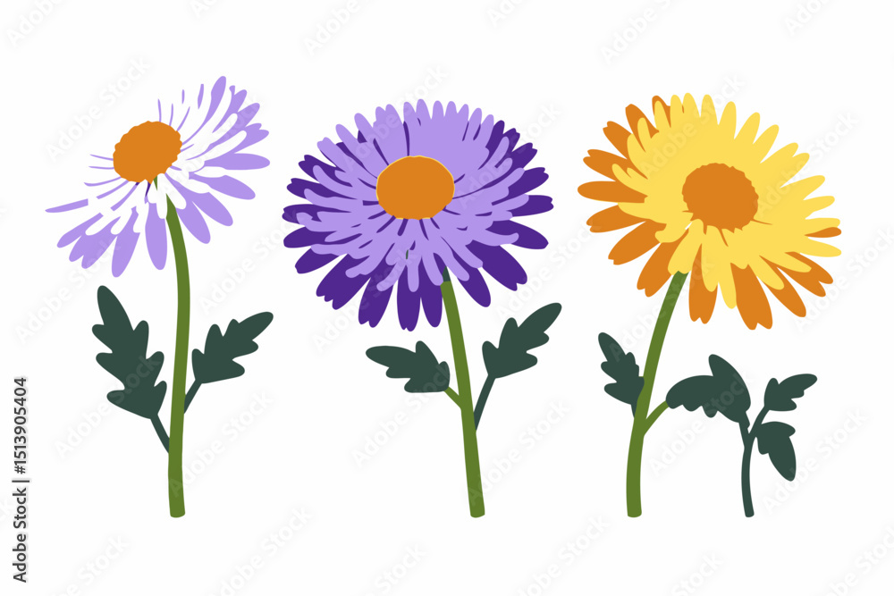 Fototapeta premium Colorful Daisy Flower Illustration - Purple, Yellow, and White Daisies on White Background - Botanical Art Print and Floral Decoration