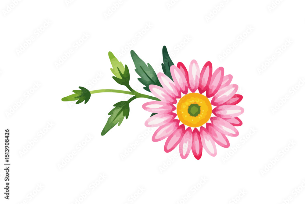 Fototapeta premium Watercolor Pink Daisy Illustration-Floral Design Element with Green Leaves-Botanical Art for Spring Projects and Crafts-Delicate Flower Image for Creative Use