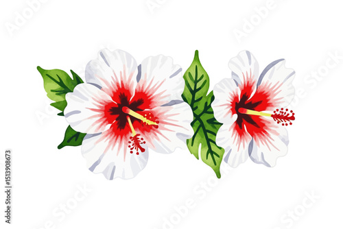 Watercolor White Hibiscus Flowers Illustration - Tropical Floral Design with Red Center - Botanical Art Print for Home Decor and Creative Projects