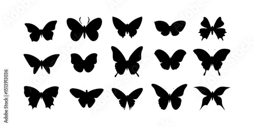 butterfly silhouettes vector