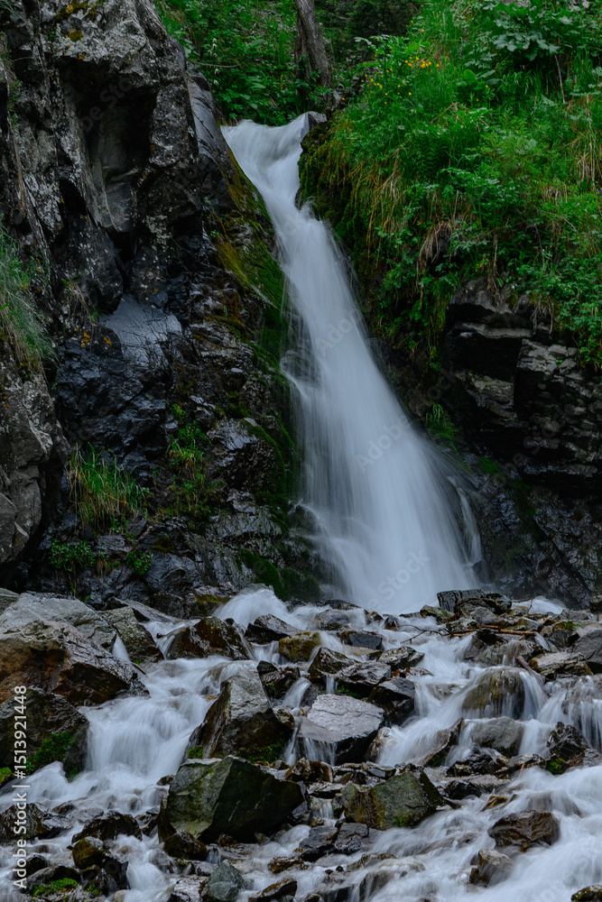 waterfall in the forest waterfall in the forest