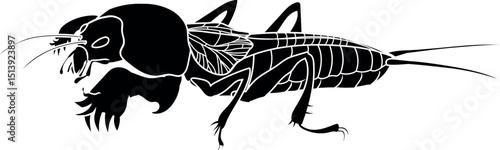 Black silhouette of mole cricket