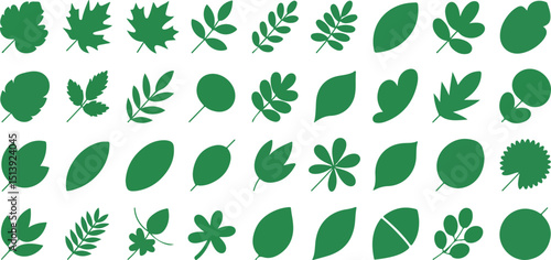 Collection of various green leaf silhouettes isolated on a white background for design
