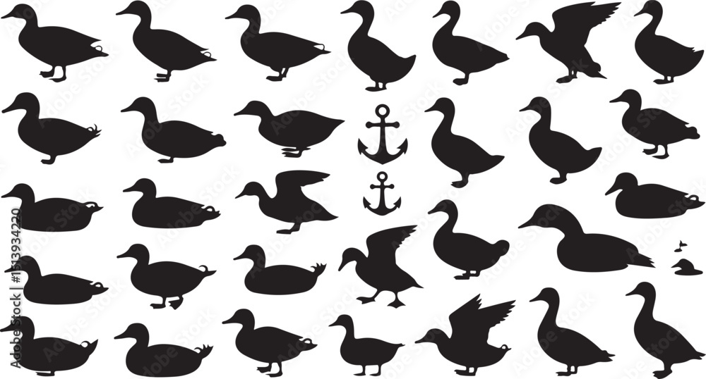 Vector illustration of various duck silhouettes in different poses and a simple anchor design Vector illustration of various duck silhouettes in different poses and a simple anchor design
