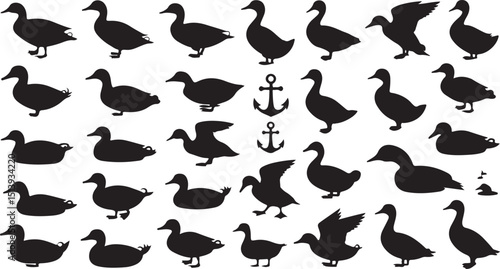 Vector illustration of various duck silhouettes in different poses and a simple anchor design